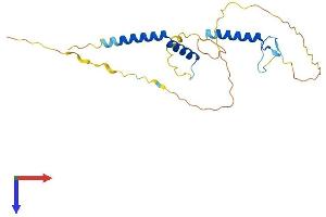 AlphaFold protein structure predicition of Mouse Recombinant Rfxap Protein, UniprotID Q8VCG9