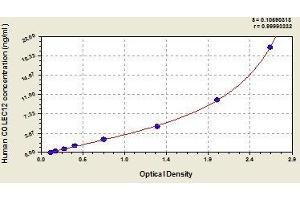 Typical standard curve (COLEC12 Kit ELISA)