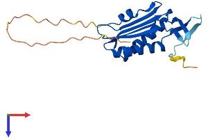 AlphaFold protein structure predicition of Mouse Recombinant Mocs2 Protein, UniprotID Q9Z223