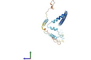 AlphaFold protein structure predicition of Mouse Recombinant Clta Protein, UniprotID O08585