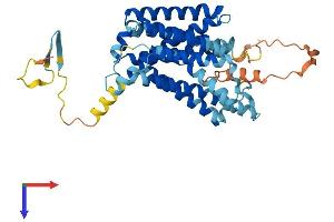 AlphaFold protein structure predicition of Mouse Recombinant Nipal4 Protein, UniprotID Q8BZF2