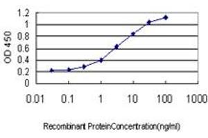 Detection limit for recombinant GST tagged TEK is approximately 0. (TEK anticorps  (AA 701-800))