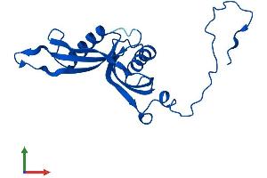 AlphaFold protein structure predicition of Mouse Recombinant Rpl18a Protein, UniprotID P62717
