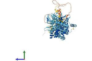 AlphaFold protein structure predicition of Mouse Recombinant Mcm6 Protein, UniprotID P97311