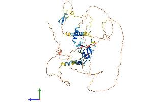 AlphaFold protein structure predicition of Mouse Recombinant Rnf220 Protein, UniprotID Q6PDX6