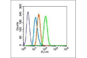 A431 cells probed with HSP27 Polyclonal Antibody, unconjugated  at 1:100 dilution for 30 minutes compared to control cells (blue) and isotype control (orange)