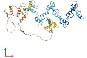 AlphaFold protein structure predicition of Human Recombinant ZNF695 Protein, UniprotID Q8IW36