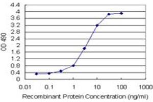 Sandwich ELISA detection sensitivity ranging from 0. (BID (Humain) Matched Antibody Pair)