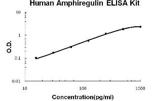 Human Amphiregulin(AR) PicoKine ELISA Kit standard curve (Amphiregulin Kit ELISA)