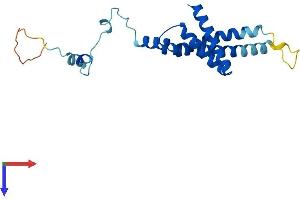 AlphaFold protein structure predicition of Mouse Recombinant Timm22 Protein, UniprotID Q9CQ85
