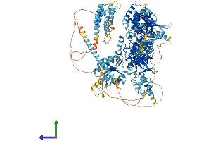 AlphaFold protein structure predicition of Human Recombinant MAP3K15 Protein, UniprotID Q6ZN16