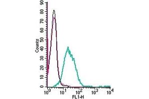 Cell surface detection of Neogenin by direct flow cytometry in live intact human Jurkat T-cell leukemia cells: + Rabbit IgG isotype control-FITC. (NEO1 anticorps  (Extracellular) (FITC))