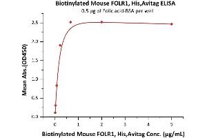 Immobilized Folic acid-BSA at 5 μg/mL (100 μL/well) can bind Biotinylated Mouse FOLR1, His,Avitag (ABIN5526654,ABIN5526655) with a linear range of 0.