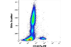 Flow cytometry surface staining pattern of human peripheral whole blood stained using anti-human CD307a (E3) PE antibody (10 μL reagent / 100 μL of peripheral whole blood). (FCRL1 anticorps  (PE))