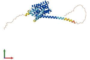 AlphaFold protein structure predicition of Human Recombinant SLC10A6 Protein, UniprotID Q3KNW5