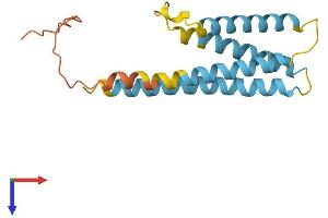 AlphaFold protein structure predicition of Mouse Recombinant Cmtm7 Protein, UniprotID Q9ESD6