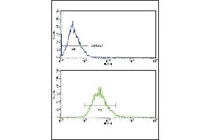 LDLR Antibody (Center) (ABIN652907 and ABIN2842585) FC analysis of MCF-7 cells (bottom histogram) compared to a negative control cell (top histogram). (LDLR anticorps  (AA 391-419))