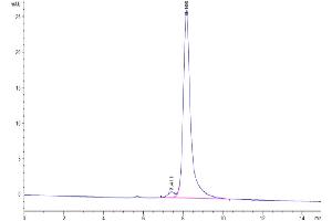 The purity of Mouse APRIL is greater than 95 % as determined by SEC-HPLC.