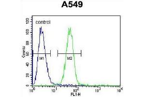 COP1 Antibody (N-term) flow cytometric analysis of A549 cells (right histogram) compared to a negative control cell (left histogram).