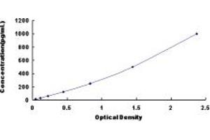 Typical standard curve (FGF12 Kit ELISA)