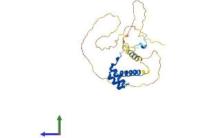 AlphaFold protein structure predicition of Human Recombinant HOXB8 Protein, UniprotID P17481