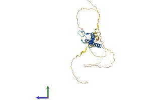 AlphaFold protein structure predicition of Mouse Recombinant Olig3 Protein, UniprotID Q6PFG8