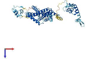 AlphaFold protein structure predicition of Human Recombinant SF3A3 Protein, UniprotID Q12874