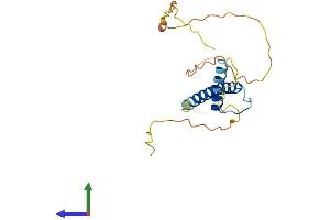 AlphaFold protein structure predicition of Human Recombinant MSC Protein, UniprotID O60682