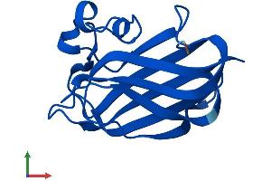 AlphaFold protein structure predicition of Human Recombinant NR2C2AP Protein, UniprotID Q86WQ0