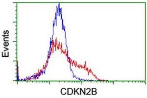 Image no. 4 for anti-Cyclin-Dependent Kinase Inhibitor 2B (p15, Inhibits CDK4) (CDKN2B) antibody (ABIN1497444)