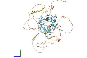 AlphaFold protein structure predicition of Mouse Recombinant Ctcf Protein, UniprotID Q61164