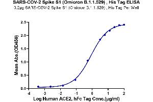 Immobilized Human ACE2, hFc Tag at 2 μg/mL (100 μL/well) on the plate.