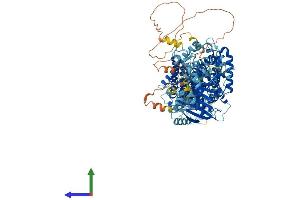 AlphaFold protein structure predicition of Human Recombinant SLC12A7 Protein, UniprotID Q9Y666