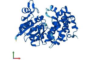 AlphaFold protein structure predicition of Human Recombinant GPD1 Protein, UniprotID P21695