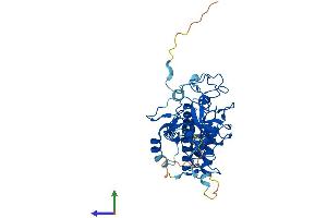 AlphaFold protein structure predicition of Human Recombinant SUV39H2 Protein, UniprotID Q9H5I1