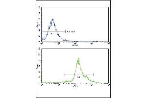 Flow cytometric analysis of widr cells using IA Antibody (N-term)(bottom histogram) compared to a negative control cell (top histogram)FITC-conjugated goat-anti-rabbit secondary antibodies were used for the analysis.
