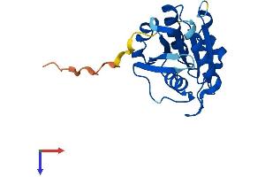 AlphaFold protein structure predicition of Human Recombinant ARL9 Protein, UniprotID Q6T311