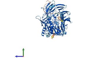 AlphaFold protein structure predicition of Human Recombinant DPP10 Protein, UniprotID Q8N608