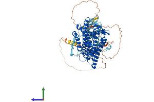 AlphaFold protein structure predicition of Mouse Recombinant Lbr Protein, UniprotID Q3U9G9
