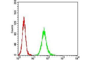 Flow cytometric analysis of Hela cells using ANAPC10 mouse mAb (green) and negative control (red). (ANAPC10 anticorps  (AA 1-185))