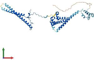 AlphaFold protein structure predicition of Mouse Recombinant Cdc37 Protein, UniprotID Q61081