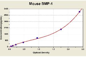 Diagramm of the ELISA kit to detect Mouse BMP-1with the optical density on the x-axis and the concentration on the y-axis. (BMP1 Kit ELISA)
