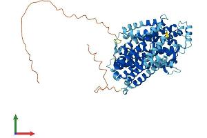 AlphaFold protein structure predicition of Mouse Recombinant Slc11a2 Protein, UniprotID P49282