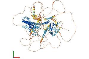AlphaFold protein structure predicition of Human Recombinant CNGB1 Protein, UniprotID Q14028