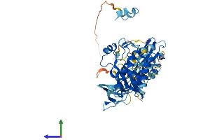 AlphaFold protein structure predicition of Mouse Recombinant Srms Protein, UniprotID Q62270