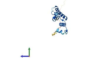 AlphaFold protein structure predicition of Human Recombinant SNTN Protein, UniprotID A6NMZ2