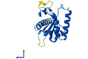 AlphaFold protein structure predicition of Mouse Recombinant Gadd45b Protein, UniprotID P22339