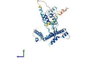 AlphaFold protein structure predicition of Human Recombinant DNAJB12 Protein, UniprotID Q9NXW2