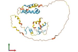 AlphaFold protein structure predicition of Human Recombinant ZNF688 Protein, UniprotID P0C7X2