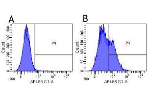 Flow-cytometry using the anti-CD25 (IL2R) research biosimilar antibody Daclizumab   Human lymphocytes were stained with an isotype control (panel A) or the rabbit-chimeric version of Daclizumab (panel B) at a concentration of 1 µg/ml for 30 mins at RT. (Recombinant IL2RA (Daclizumab Biosimilar) anticorps)